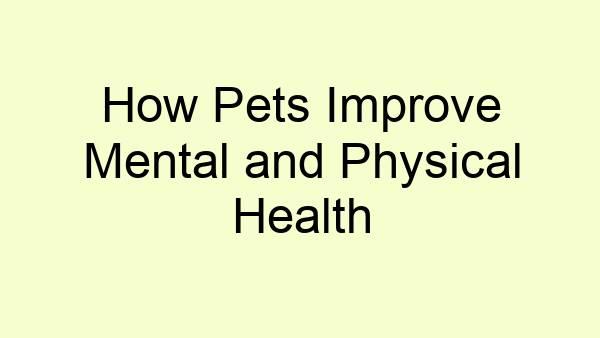 How Pets Improve Mental and Physical Health